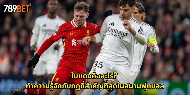 ใบแดงคืออะไร? ทำความรู้จักกับกฎที่สำคัญที่สุดในสนามฟุตบอล